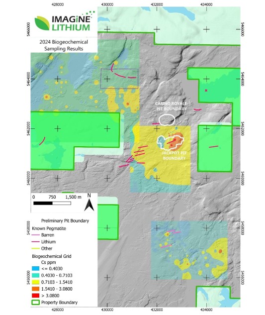 Cannot view this image? Visit: https://imaginelithium.com/wp-content/uploads/2025/01/1736945847_206_Imagine-Lithium-Intersects-1150-m-of-108-Li2O-and-880.jpg